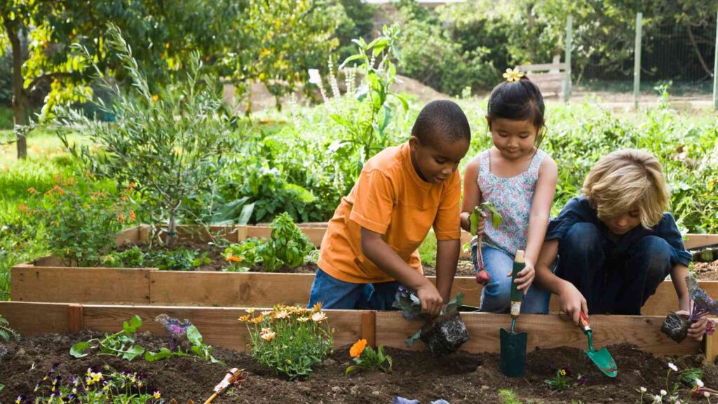 Montessori-Based Gardening Activities for Toddlers