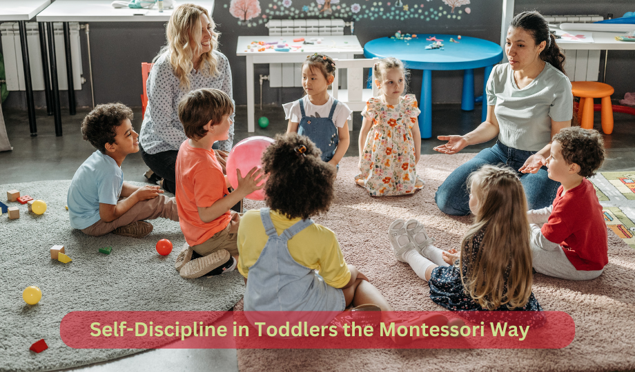 Self-Discipline in Toddlers the Montessori Way